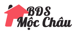 BDSMocchau